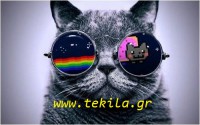 /album/www-tekila-gr16/tumblr-mbl53kbvnw1rqlrwco1-500-jpg/